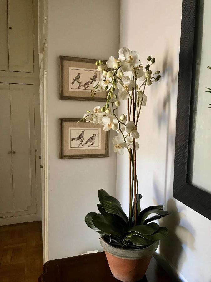 Appartamento Magnifique 2 Pieces De 65M2 -Quartier Des Musiciens Nizza Esterno foto